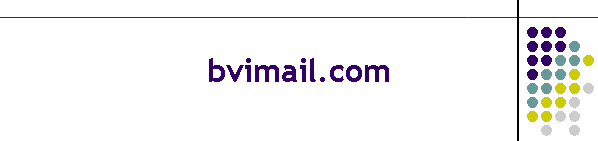 bvimail.com